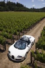 Bugatti Veyron 16.4 Grand Sport Roadster 2008 года